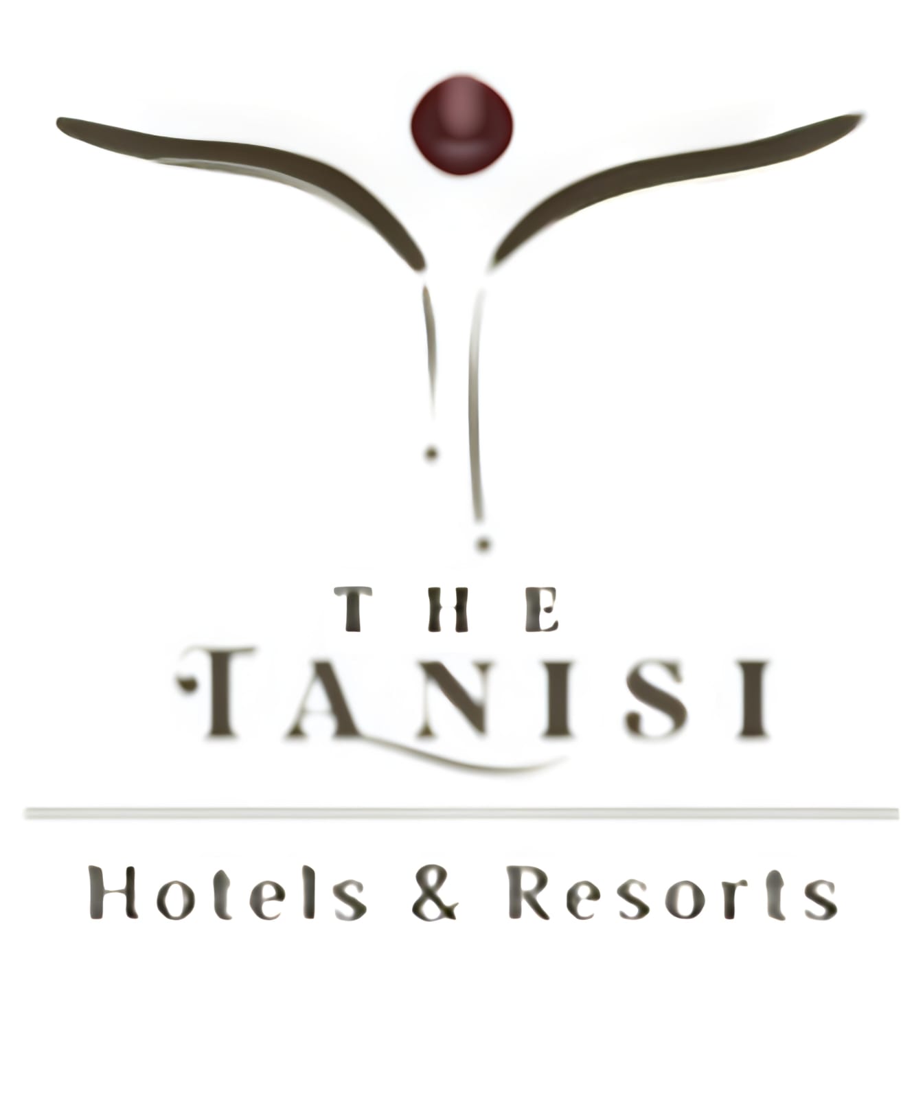 WhatsApp Image 2025-07-17 at 10.01.05 AM