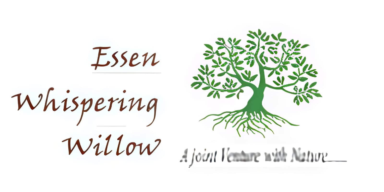 WhatsApp Image 2025-07-17 at 10.12.07 AM