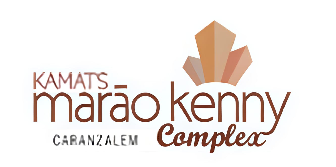 WhatsApp Image 2025-07-17 at 10.13.57 AM