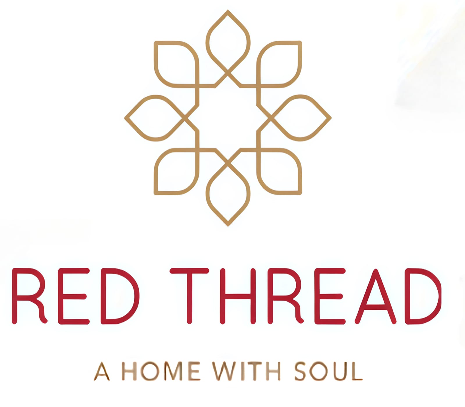 WhatsApp Image 2025-07-17 at 10.42.28 AM