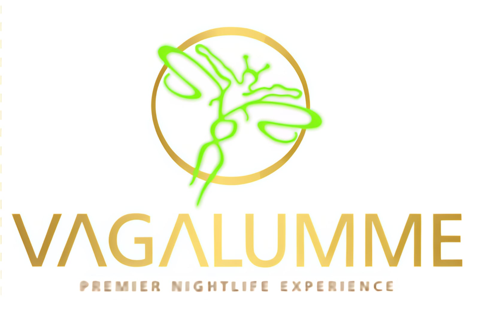 WhatsApp Image 2025-07-17 at 9.49.02 AM