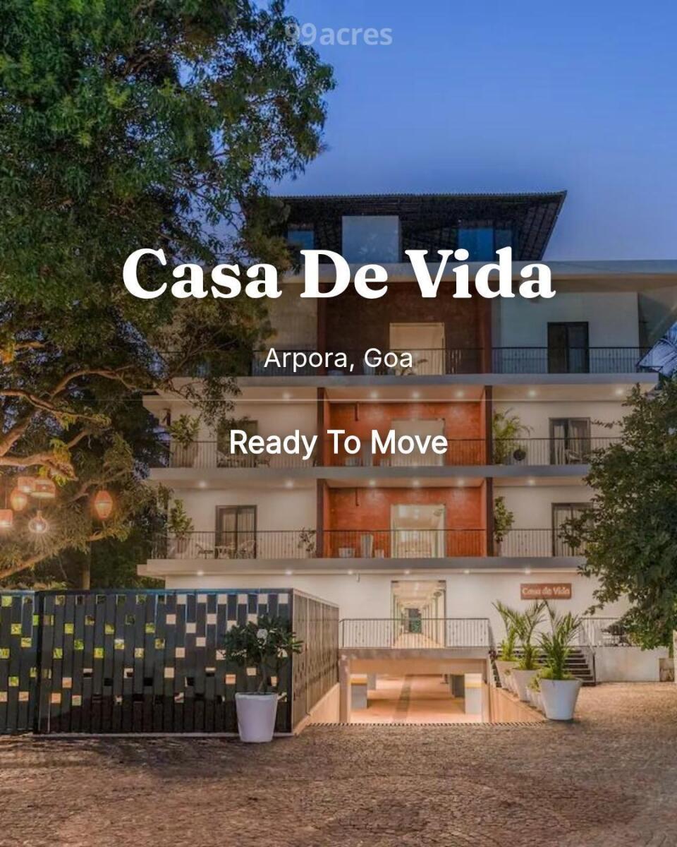 hpoghim_1755196840_633343043_large